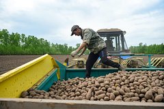 Россиян предупредили о зарплате ниже МРОТ